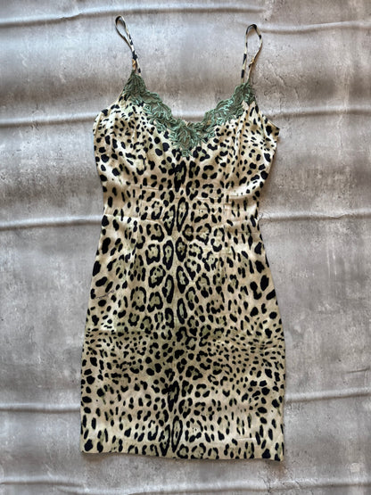Cavalli Class Leopard Print Lace Slip