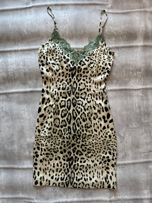 Cavalli Class Leopard Print Lace Slip