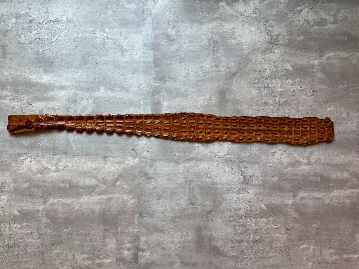 Alligator Spine Wrap Belt