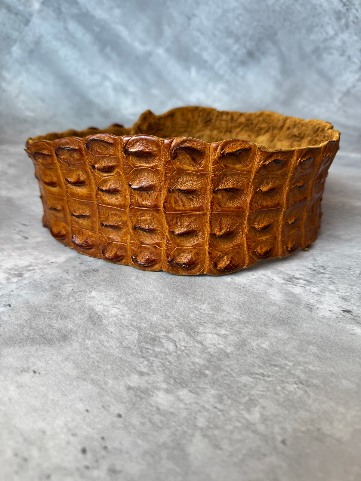 Alligator Spine Wrap Belt